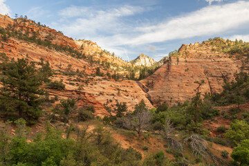 Rock formations at Zion National Park, Utah, USA