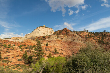 Obraz premium Rock formations at Zion National Park, Utah, USA