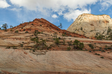 Fototapeta na wymiar Rock formations at Zion National Park, Utah, USA