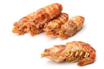 Spiked shrimp-bear (Sclerocrangon salebrosa)