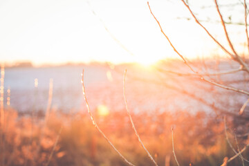 Sunset or sunrise in a winter park with trees covered with snow and ice on a sunny clear day. Landscape.