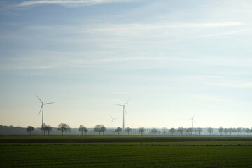 Weite offene Landschaft mit Windr&auml;der, Windkraftanlagen und einer Allee aus B&auml;umen im Winter, Energiewende