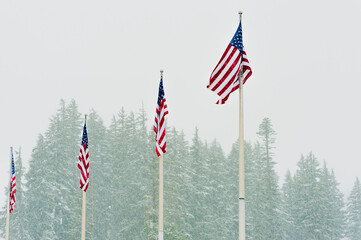 Four US Flags at Mt. Hood Meadows