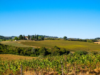 Fototapeta na wymiar Landscape of the Tuscan vineyards, Italy