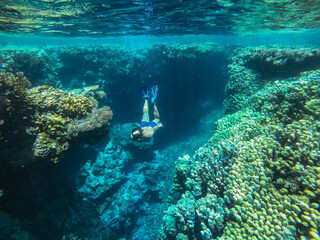Dive. The guy in the underwater mask and fins dives deep into the sea. Egypt. Red sea.