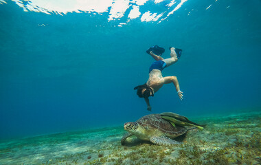 Sea. A man in an underwater mask and fins swims in the sea next to a large turtle. Egypt.