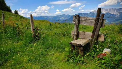 Blick über eine eingezäunte Almwiese im Sommer