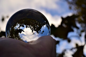 Sky and trees trough a lens ball on a hand against a blue sky and branches
