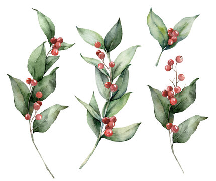 Watercolor Christmas set with branches and red berries. Hand painted holiday greenery isolated on white background. Floral illustration for design, print, fabric or background.
