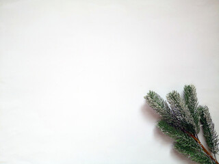 Pine tree branch on white surface shot from above. Top view, flat lay, copy space. Christmas and New year composition. Winter background with space for text.
