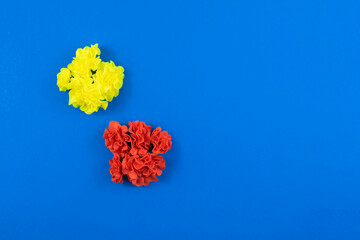 Decorative flowers on simple blue isolated background with place for text, copy space