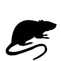 Icon of rat silhouette. Black vector illustration of rodent