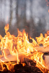 Obraz premium Pile of burning cardboard and waste paper