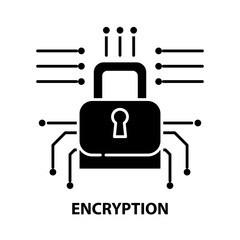 encryption icon, black vector sign with editable strokes, concept illustration