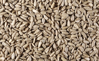 Peeled sunflower seeds background and texture, top view