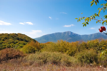 Crimean mountains at the sunny summer day.