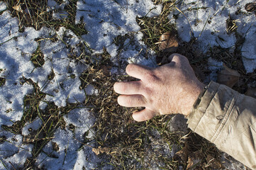 Murder. The dead man's hand lies on the melting snow.