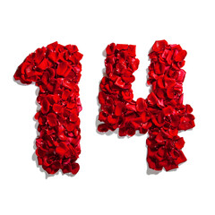 number 14 from red rose petals on isolated white background for valentine's day