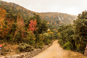 Fuente Roja natural park in Alcoi on a foggy autumnal day.