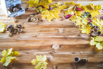 Top view of Autumn background on wooden table board with yellow maple leaves and walnuts