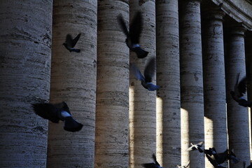 columns of the Vatican