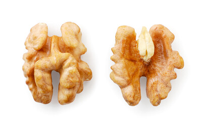 Two halves of a walnuts kernel on a white background. Top view.