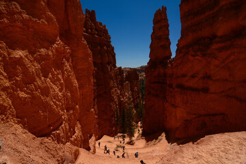 Bryce Canyon - landscape