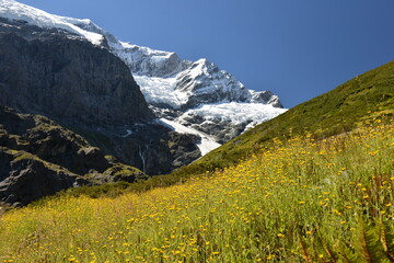 Fototapeta premium Rob Roy glacier trail near Wanaka New Zealand
