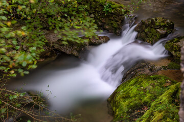 river in the forest, water with silk effect and much detail