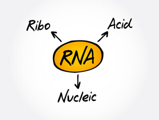 RNA - Ribonucleic acid acronym, medical concept background