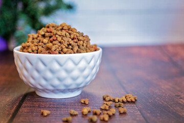Cat food in a white bowl on a wooden background, winter concept. A gift for a little friend