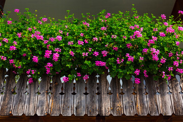 Stara Fuzina village, Municipality of Bohinj , Upper Carniola, Slovenia, Europe