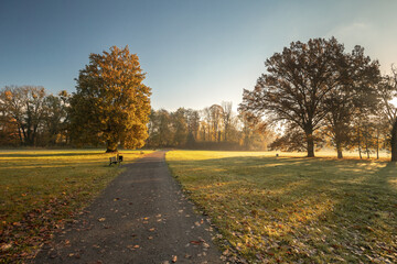 Obraz premium Bolko Island in Opole during the autumn morning.