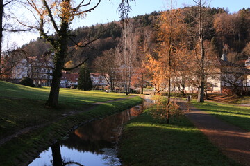 Ruhe und Idylle im Herbst im Kurpark von Bad Herenalb im Schwarzwald