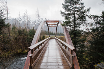 Fototapeta na wymiar wooden bridge in forest of Alaska