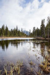 Obraz premium Vertical shot of forest pond in Alaska. Clouds above the mountains in distance.
