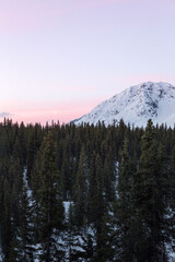 Vertical shot of colorful winter sunrise in Denali State Park, Alaska