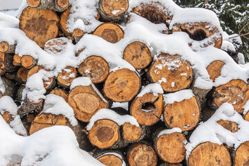 Snow-covered Pile of Wood logs. Firewood. Texture of cross sections.