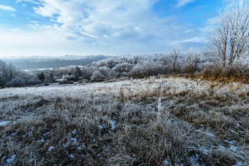 spacer, śnieg, jura, pies
