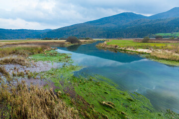 Fototapeta na wymiar Lake Cerknika, Green Karst, Slovenia, Europe
