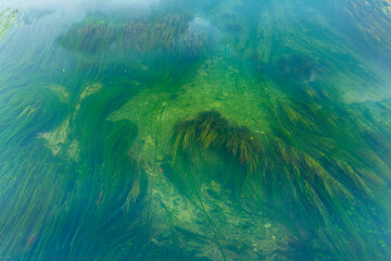Lake Cerknika, Green Karst, Slovenia, Europe