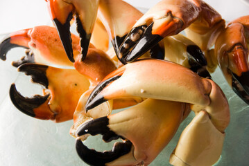Stone crab claws. Colossal Crab claws served with lemons, spicy rémoulade sauce on top of a mixed green salad. Classic American restaurant or steakhouse appetizer or entree. © rebecca