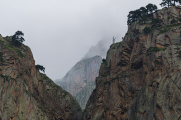 Mountains in the fog at dawn