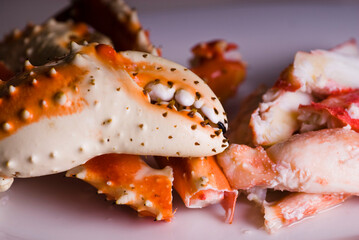 King crab or Dungeness legs . Jumbo Crab served with lemons, spicy rémoulade sauce on top of a mixed green salad. Classic American restaurant or steakhouse appetizer or entree.