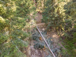 Aerial view of natural hazard: Fallen tree in mudslide in Swiss alps after heavy rainfall.