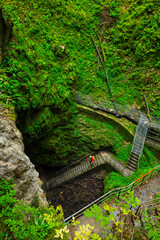 Pivka cave, Postojna Area, Green Karst, Slovenia, Europe