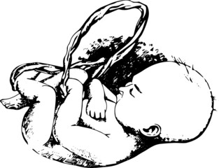 baby in the womb black and white sketchy vector illustration. sleeping baby holding an umbilical cord