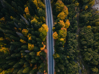 Mountain road in golden autumn among conifers in the mountains. Dombay. Russia. Drone shot