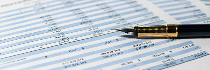 Income statement in stockholder report book. Document are mock-up