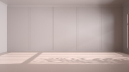 Blur background, empty room interior design, open space, walls with trim molding, concrete marble floor, modern contemporary architecture, morning light, mock-up with copy space